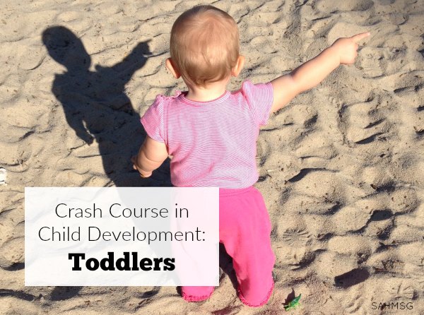 Toddlers can seem tricky, but if we understand their development with this crash course in child development toddlers edition, we just may save our sanity through the toddler years...maybe!