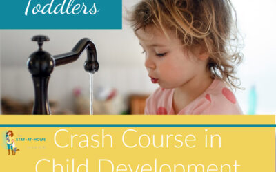 Crash Course in Child Development: Toddlers