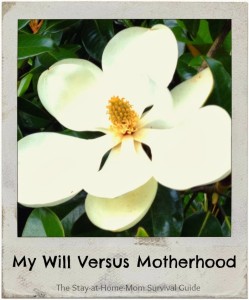 My will versus motherhood: It is a struggle to remember what I need to focus on in this season of life.