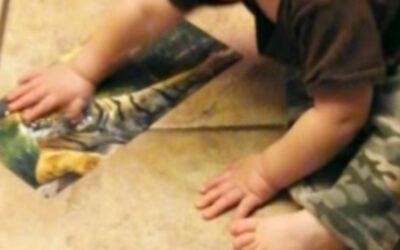 Calendar Photo Crawl Activity for Infants and Toddlers