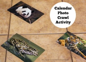 Sitting and crawling infants will love exploring photos on the floor and all you need is a calendar to try this calendar photo crawl activity for infants.