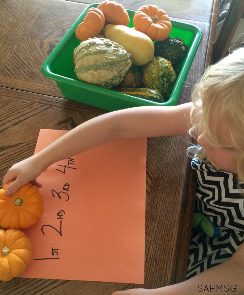 Ordering mini pumpkins in a preschool activity.