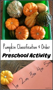 Preschool activity to explore observation skills, classification and putting items in an order. Pumpkins make this a fun Fall theme activity for preschool.