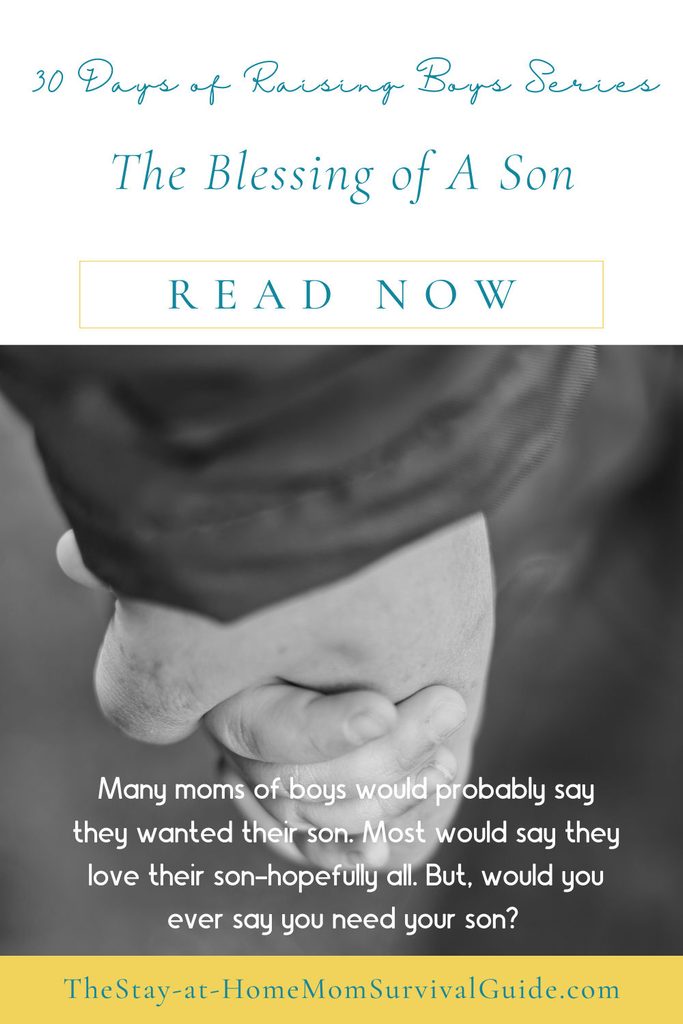 30 days of raising boys series.