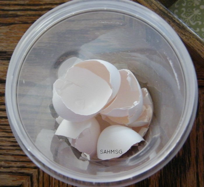 Dyed egg shells science and art process-based activity for preschool and toddlers.