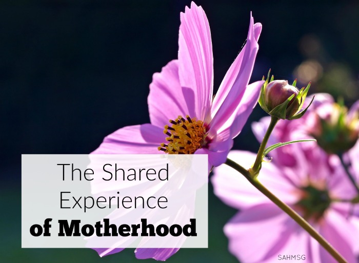 Motherhood is more than the act of being a mom, the birth of a child, yes, it is a shared experience that involves many more lives than our own.