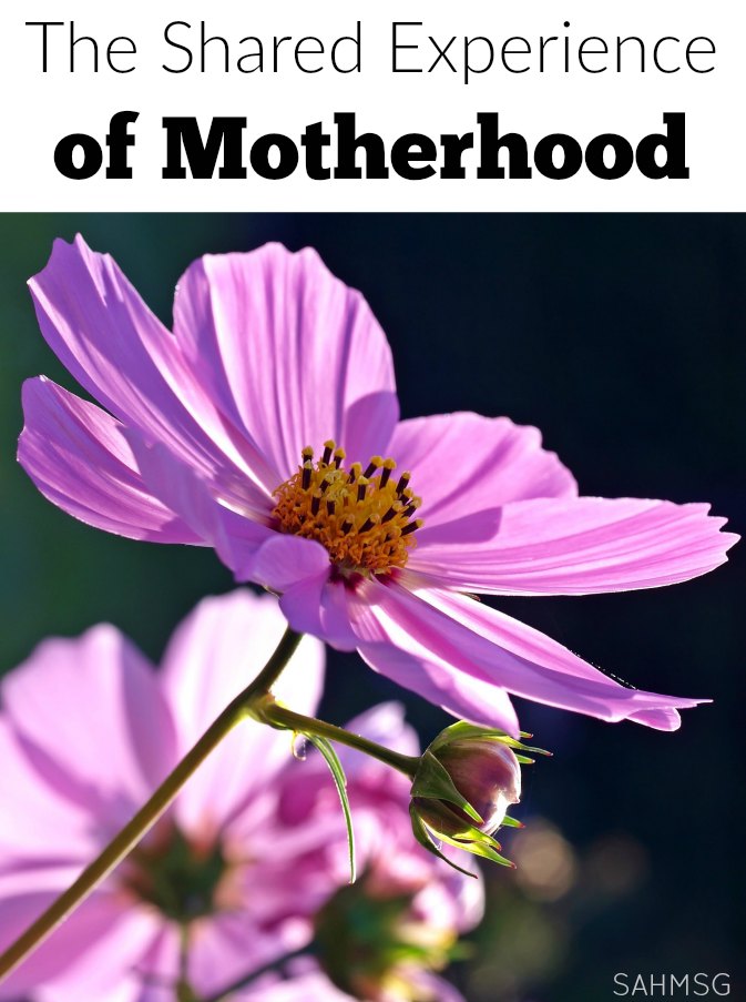 Motherhood is more than the act of being a mom, the birth of a child, yes, it is a shared experience that involves many more lives than our own.