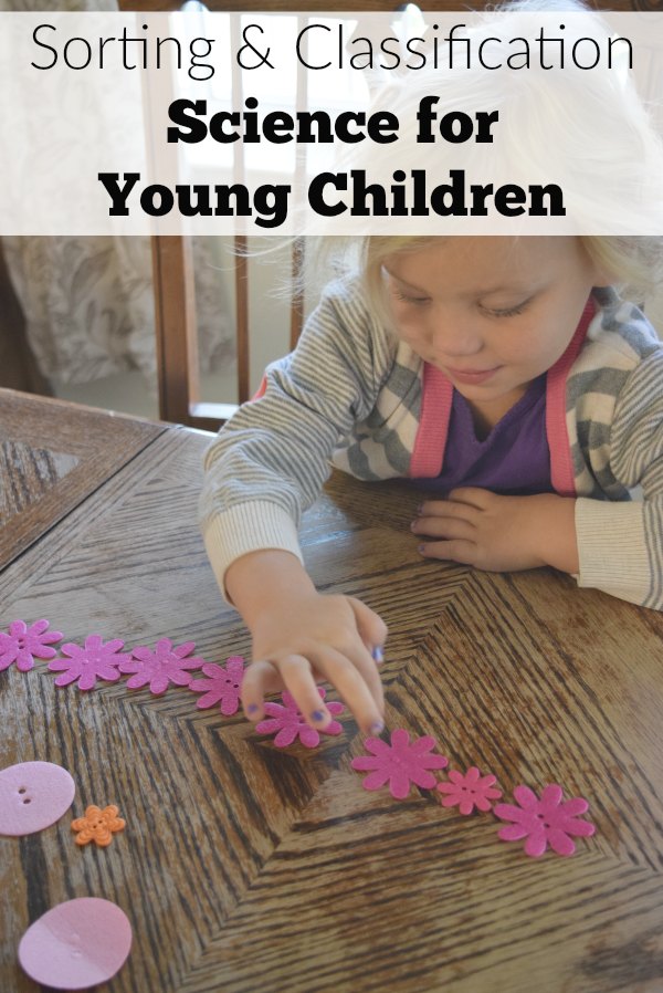 Sorting and classification activity for young children using buttons. A simple sorting activity for preschool chidlren that builds on big concepts.