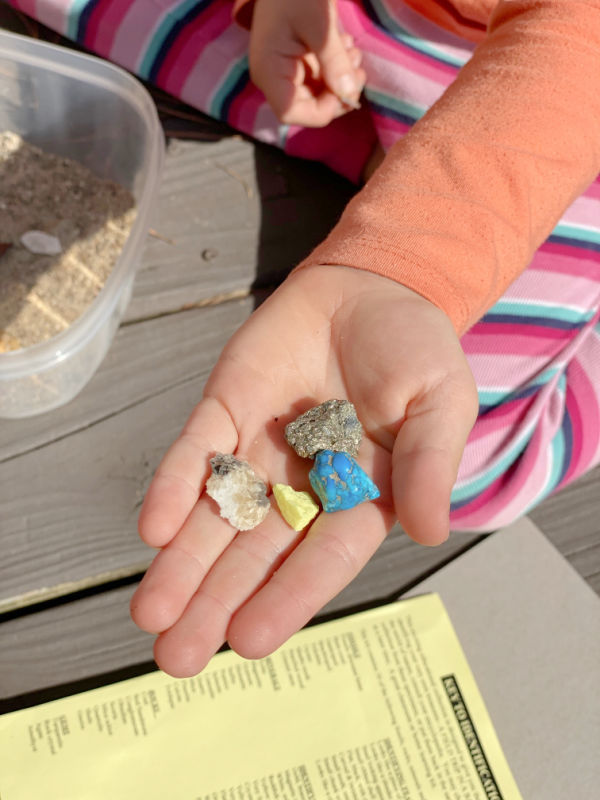 Rocks from the field trip in a bag geology activity for kids.