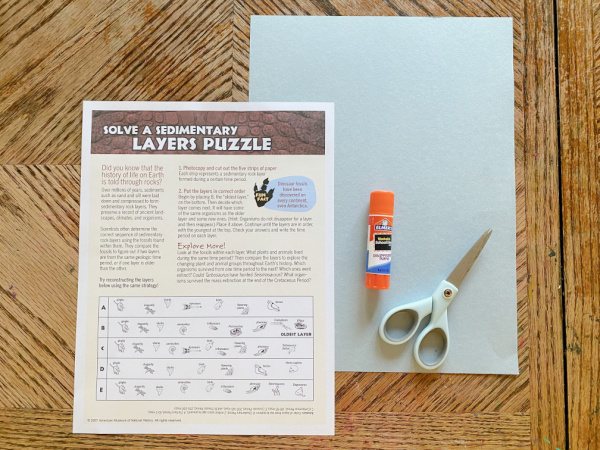 Supplies needed for the dinosaur layers geology timeline activity. Pictured are the printable worksheet, a piece of construction paper, glue stick and scissors.