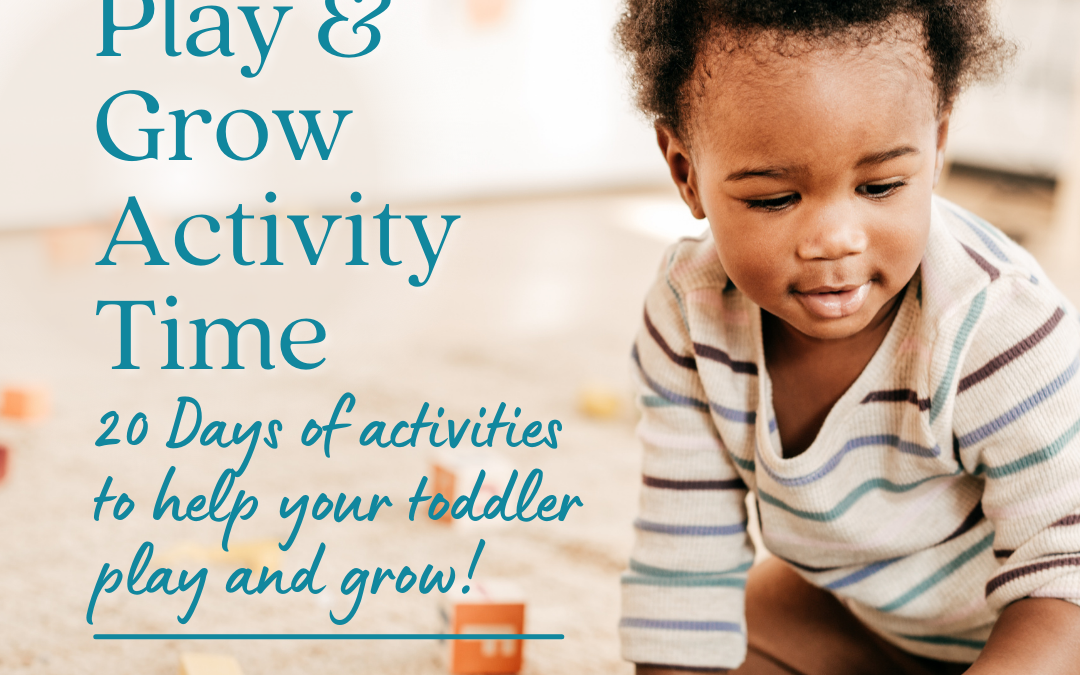 Toddler Play and Grow Activity Guide