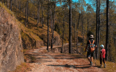 4 Family-Friendly Things to Do in Gatlinburg