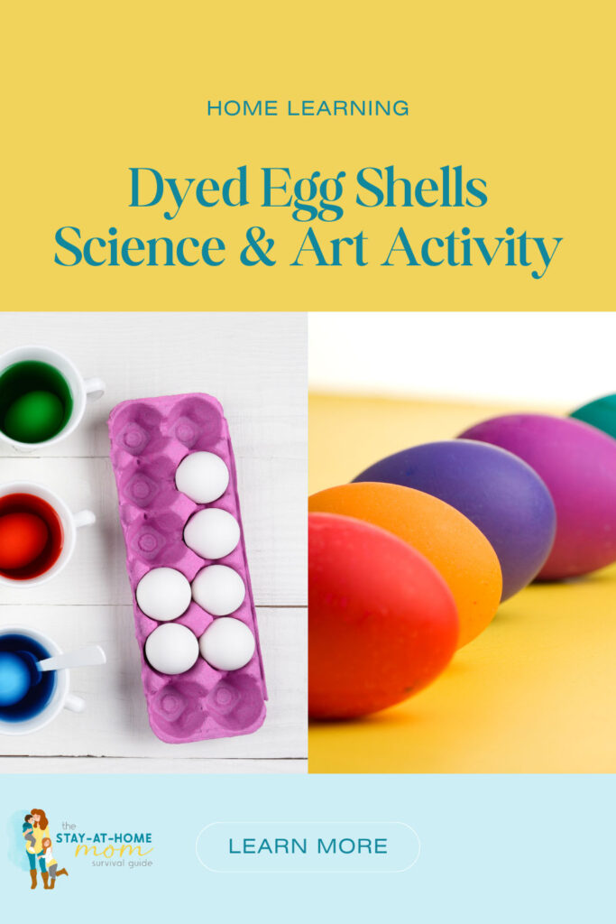 Dyed eggs shown in a carton and lined up on a table. Text reads home learning dyed egg shells science and art activity.