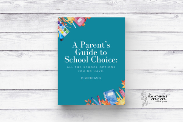 A Parent’s Guide to School Choice: All the school options you DO have
