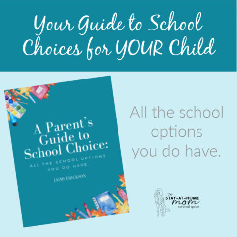 Preschool at Home Curriculum » The Stay-at-Home-Mom Survival Guide