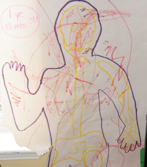 Traced Body Body Tracing Studying the Human Body for Preschoolers » The Stay-at ...