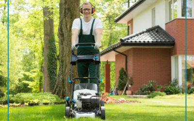 Six Tips for a Well-Maintained and Beautiful Lawn