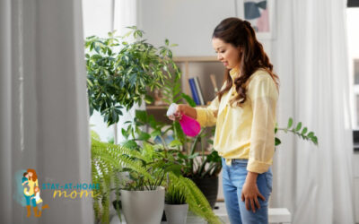 How Houseplants Enhance Your Home’s Wellness