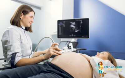 How Does the Lining of the Uterus Affect Fertility?