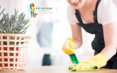 Ways to Keep Your Home Pest Free