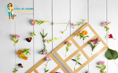 What is a Herbarium and How Do You Create a Plant Collection?