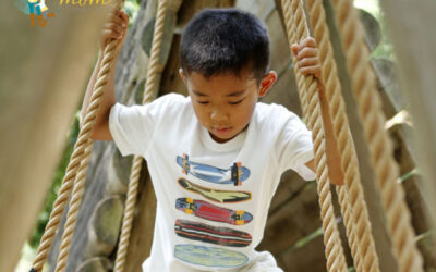 Obstacle Fitness Teaches Children Focus, Control, and Team Awareness