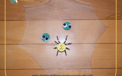 Spider Web Counting Number Match