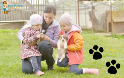 The Key Benefits of GPS‑Enabled Dog Containment Systems