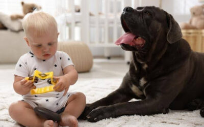 The Busy Mom’s Guide to Keeping a Healthy Home for Kids and Pets