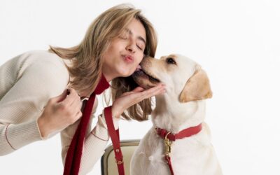 How to Prevent Skin Allergies in Dogs: Choosing the Right Collar Material