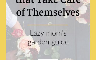Lazy Mom’s garden: 5 flowers that will grow themselves, even if you forget to water them