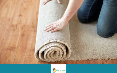 10 Best Washable Rugs for Pet Owners That Resist Stains and Odors 