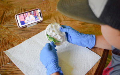 Make Your Own Fossil: Science Curriculum for Kids