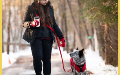 9 Ways Busy Parents Can Make Winter Dog Walks Easier