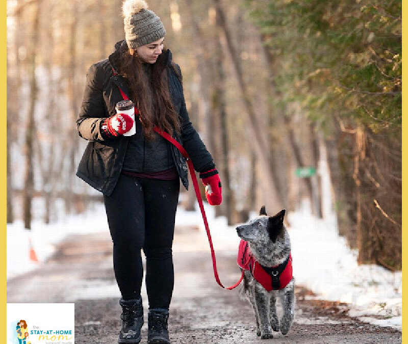9 Ways Busy Parents Can Make Winter Dog Walks Easier