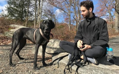 Why Fresh Food Can Make a Big Difference for Large Breed Dogs