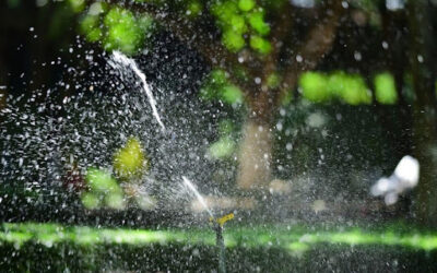 How to Tell if Your Sprinkler System Needs Repair Before Your Water Bill Spikes