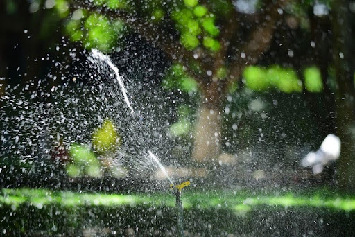 How to Tell if Your Sprinkler System Needs Repair Before Your Water Bill Spikes